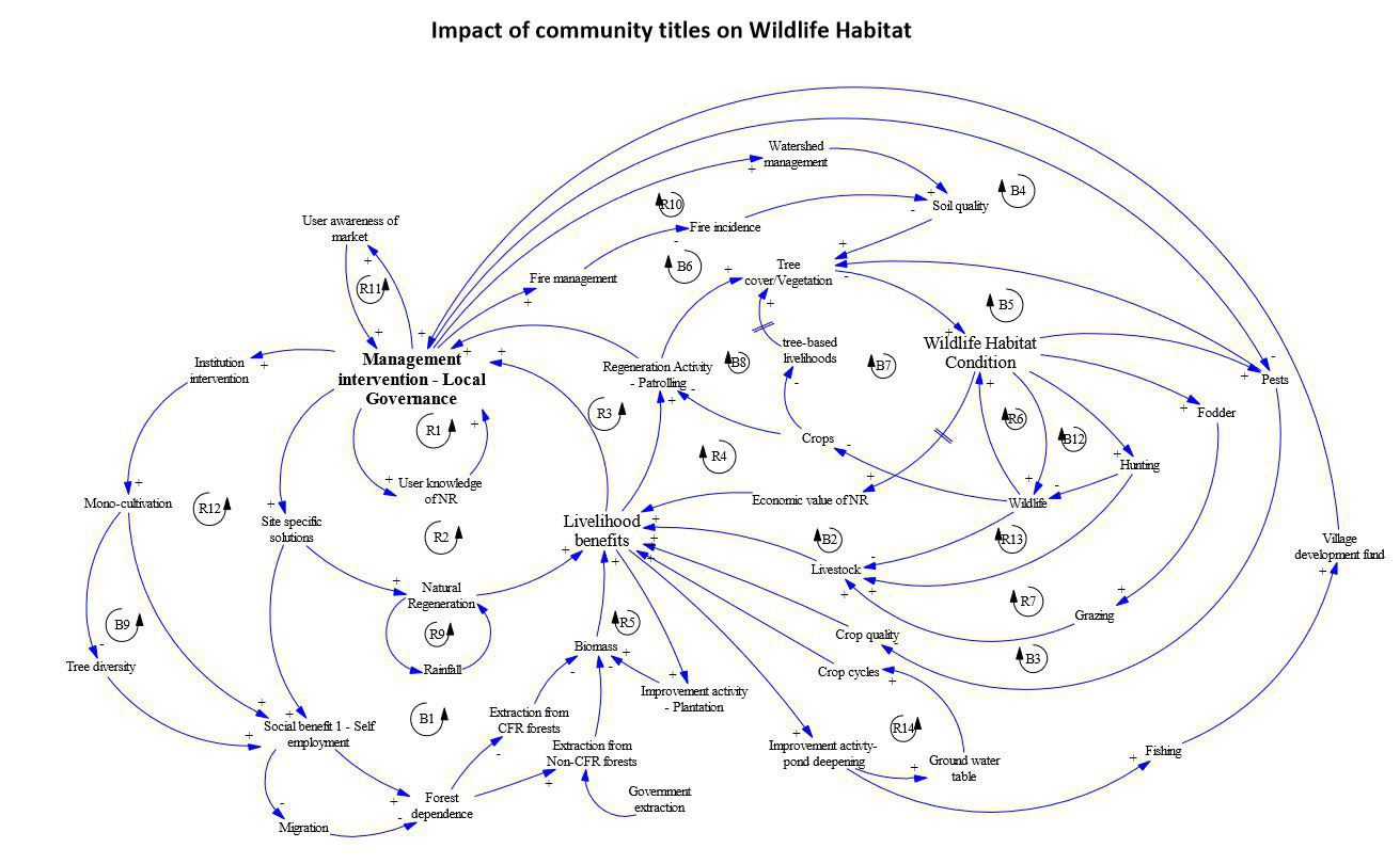 CFR Impact On Wildlife